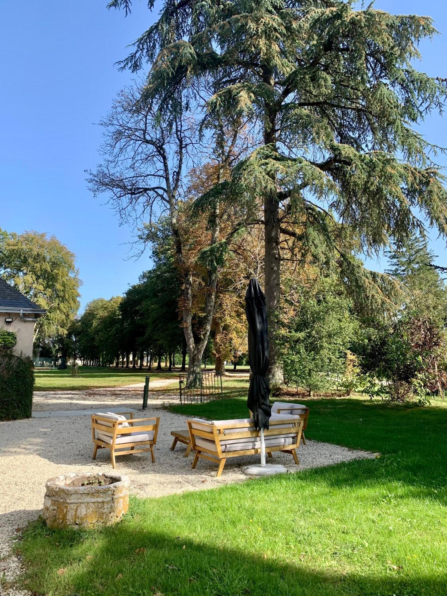 Chateau De L'Epinay - Domaine Du Marquis De Lafayette Dolus-le-Sec Extérieur photo